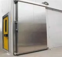 Stainless Steel Sliding Cold Room Door