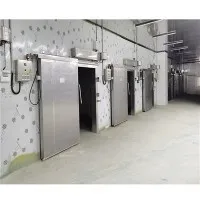 Stainless Steel Cold Room Sliding Door